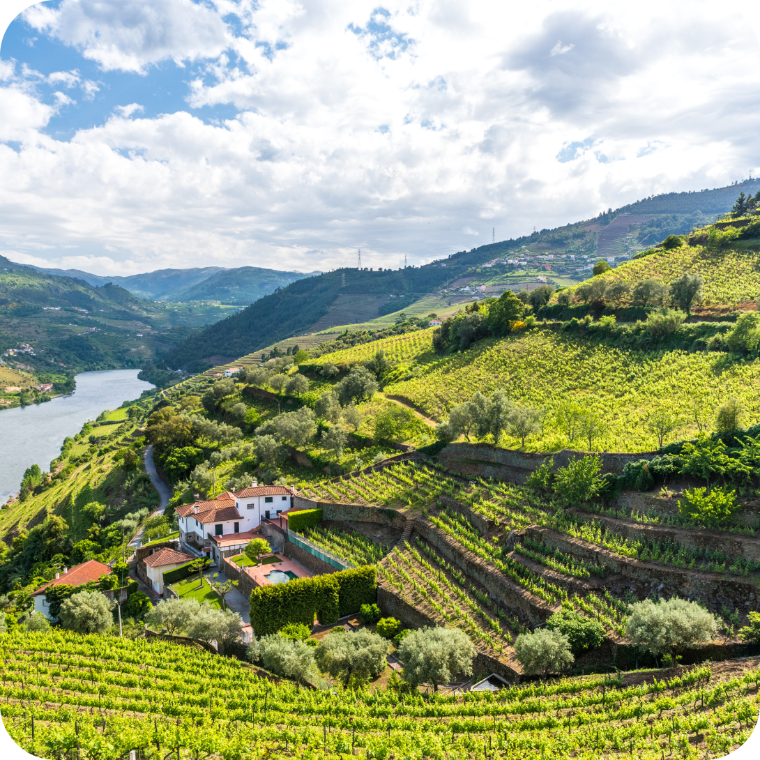 Discover Vinho Verde blog