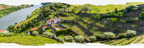 Serea hillside Serea hillside