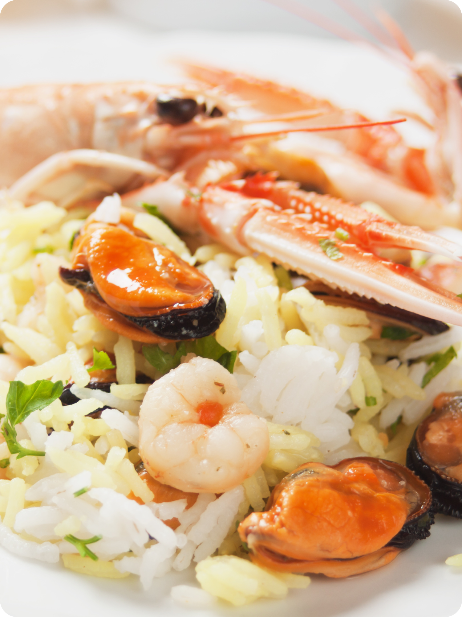 Plate of seafood rice (Arroz de Marisco)